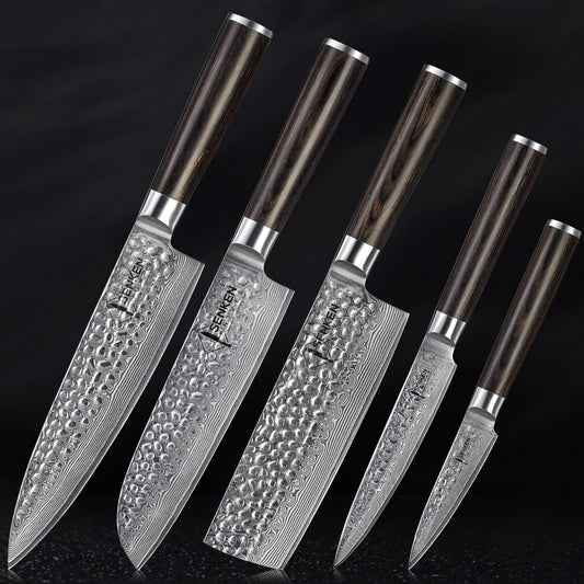 Ronin Collection — Japanese VG10 Hammered Damascus Steel Knife Set with Smooth Pakkawood Handles